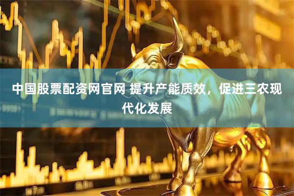 中国股票配资网官网 提升产能质效，促进三农现代化发展